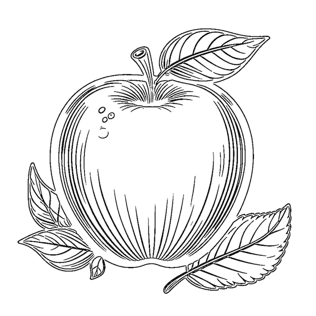 Photo apple coloring page