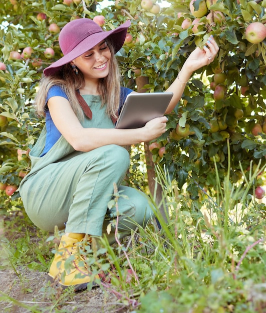 Apple farmer using a digital tablet and preparing for harvest on farm Full length smiling woman using technology to check trees and plants Monitoring plant growth and agriculture on orchard estate