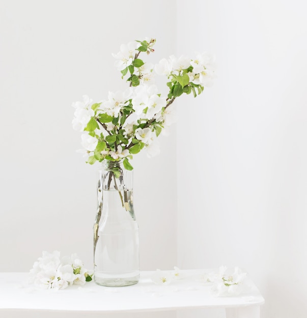 Apple flowers in glass vase in white interior