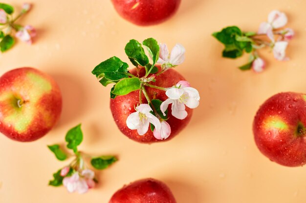 Apple flowers and ripe red apples flat lay on a pastel orange background