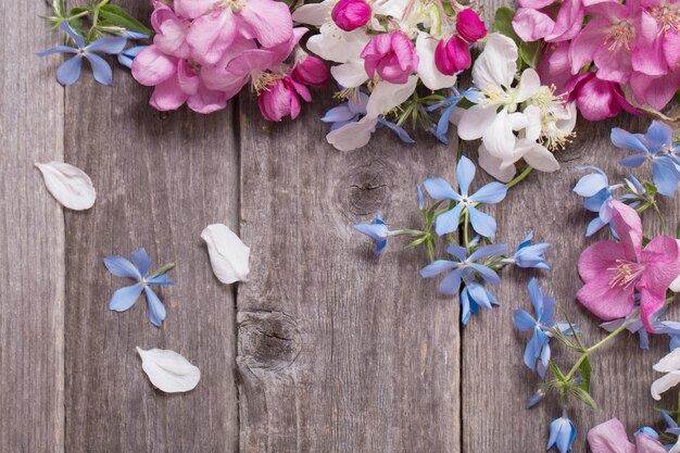 Apple flowers on wooden space