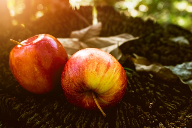 Frutta mela, frutta fresca, cibo sano, tavolo in legno