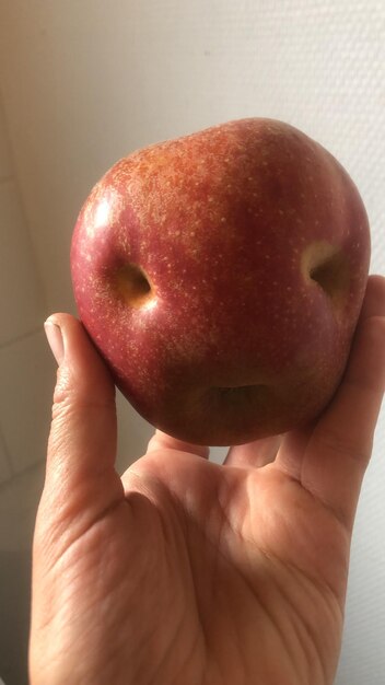 Apple - fruit