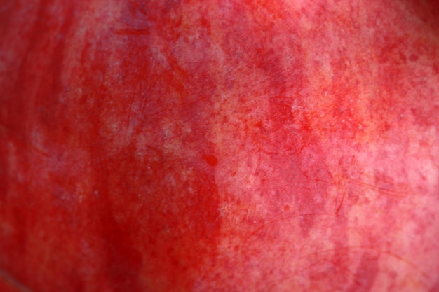 Apple Fruit