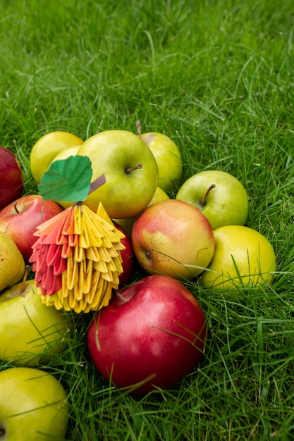 リンゴ収穫背景、緑の草の枝編み細工品バスケット