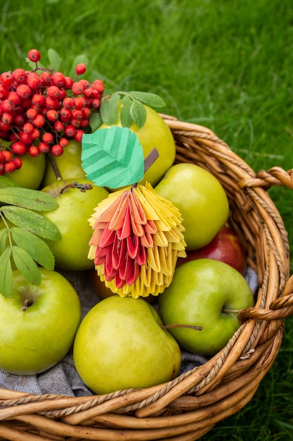 Apple harvest, wicker basket on green grass, top view papercraft origami art with red berries