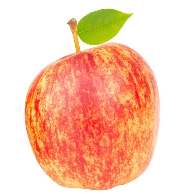 apple isolated on white background gala