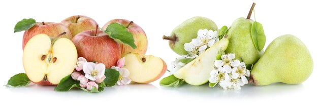 Apple and pear apples pears fruit red green fresh fruits slice isolated on white