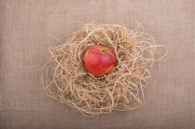 Apple placed on straw on canvas background