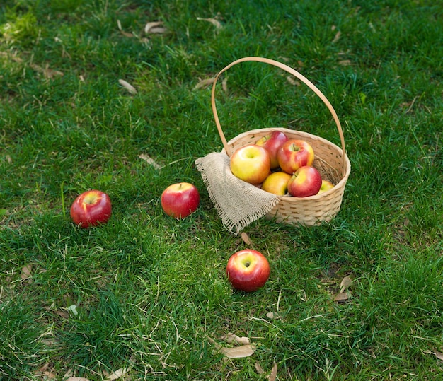 Apple vintage achtergrond rieten mand op groen gras bovenaanzicht met ruimte om te schrijven