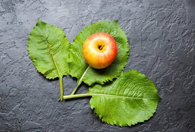 An apple with green leaves lying black background Still life photo Healthy style Fruit and nature