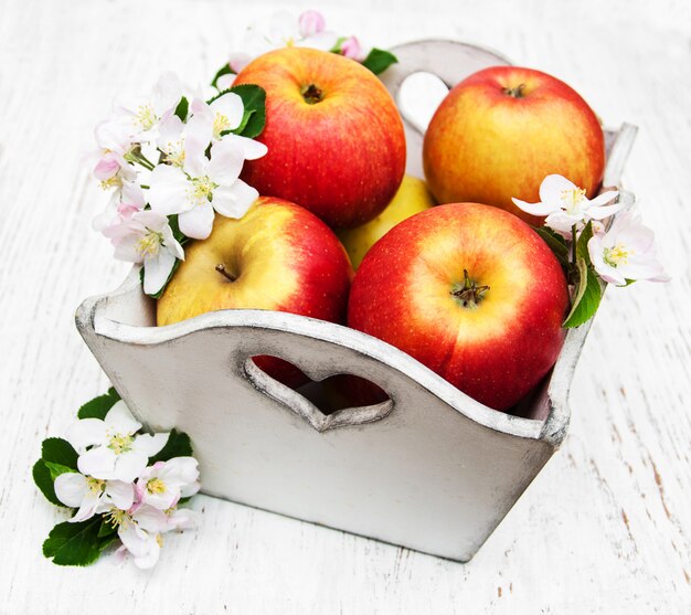 リンゴとリンゴの木の花