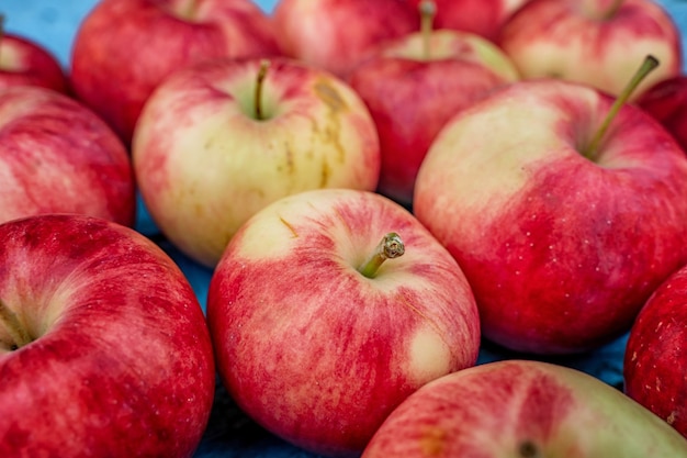 リンゴは列に並べられています収穫は庭の自然の背景からです