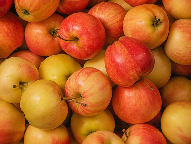 Apples are yellow with red color as a background Macro photo of an apple with water drops