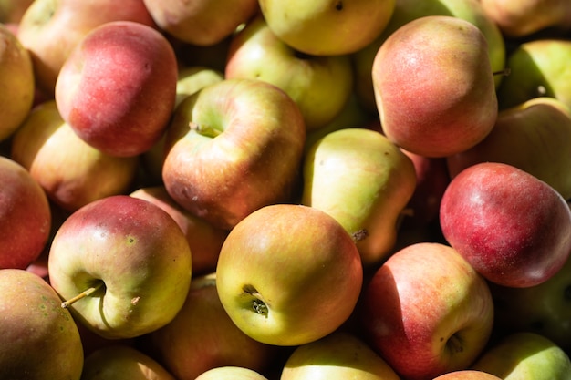 Apples as background and texture