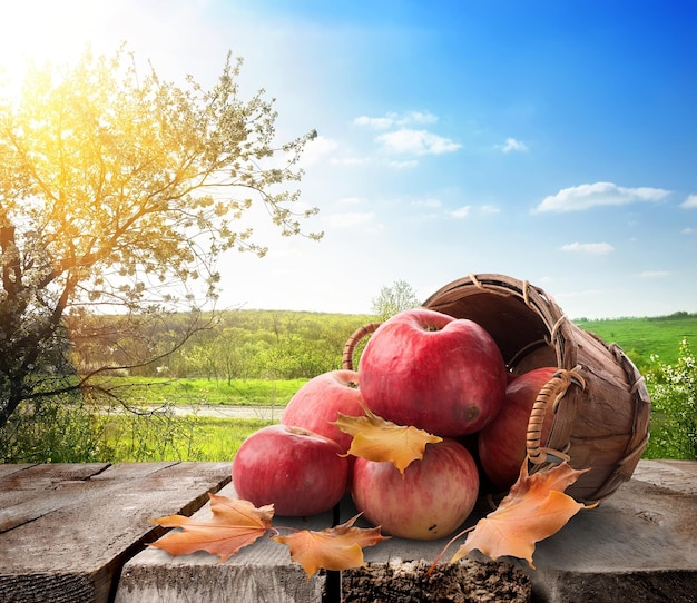 Apples in a basket on the table and landscape