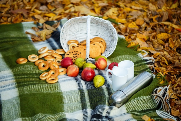 Apples and cookies on topped in an autumn forest