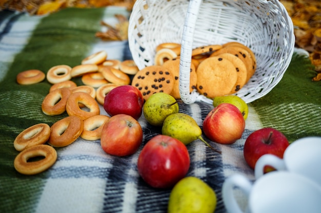 Apples and cookies on topped in an autumn forest