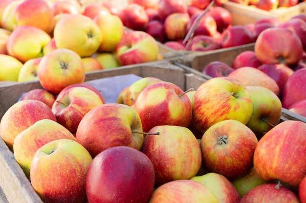 Apples on market