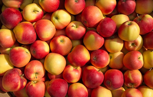 Apples red background