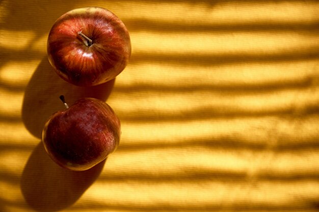 Apples under trendy shadows healthy snack concept autumn mood board top view