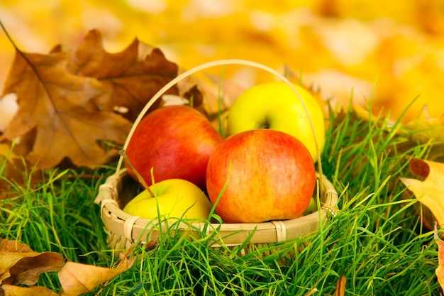 Яблоки в плетеной корзине на траве на ярком фоне