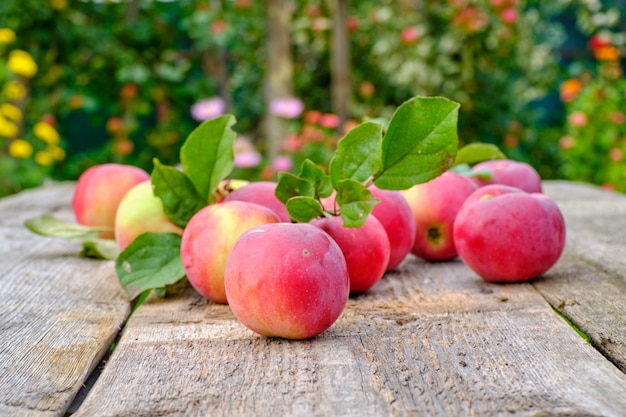 Apples on a wooden table