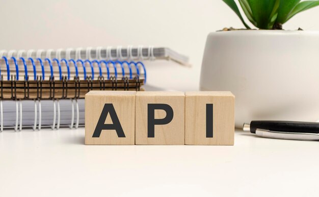Application Programming Interface Software Web Development concept