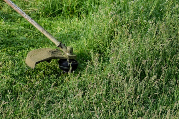 Application trimmers Mowing green grass using a fishing line trimmer