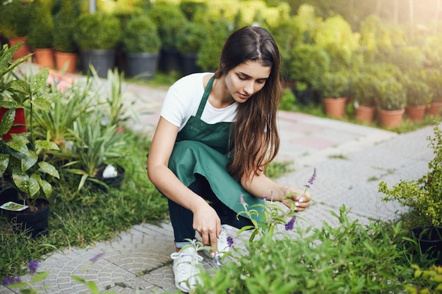 Apprentice gardener caring about greenery preparing to transfer a plant to a bowl to further sell in an online store