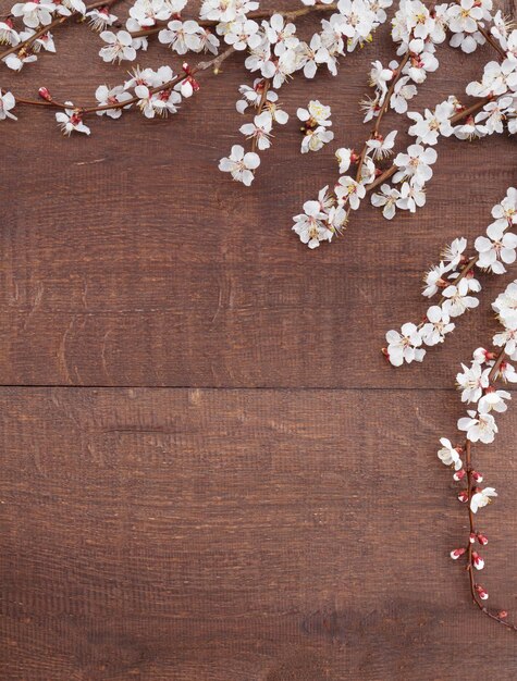 Apricot blossoms on branches on wooden background Top view