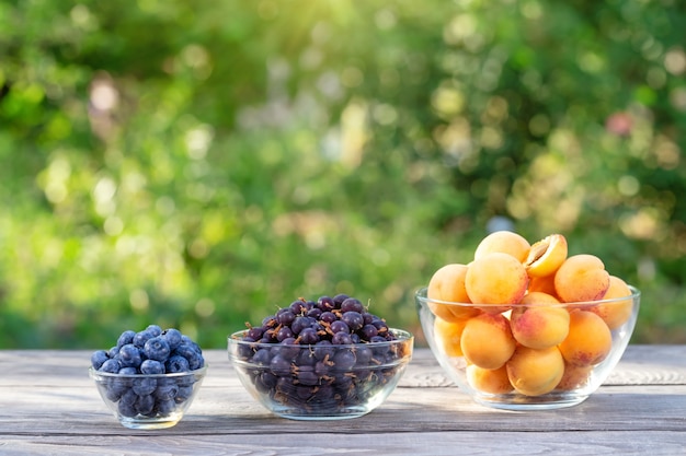 Apricot, currant and blueberry in bowls