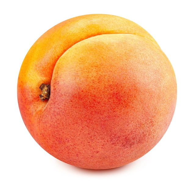 Apricot fruit isolated