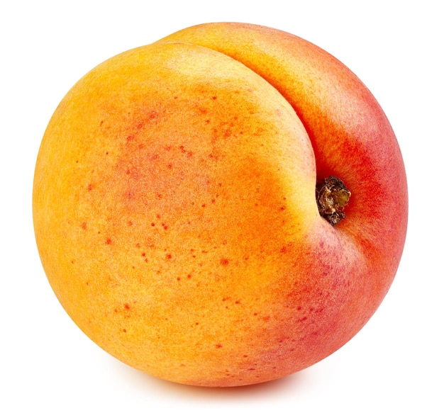 Apricot fruit isolated