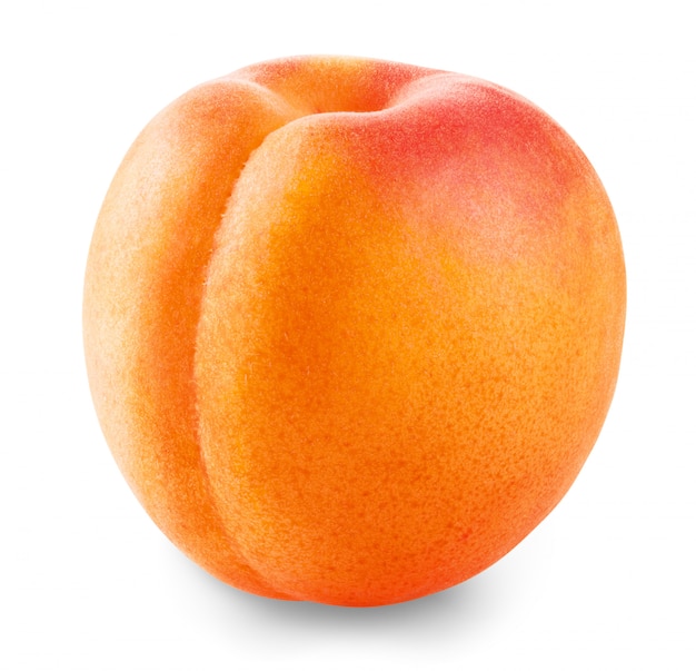 Apricot fruit