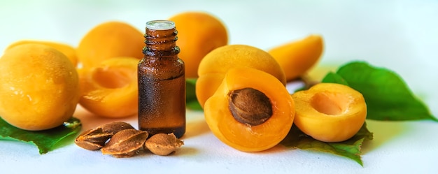 Apricot kernel oil in a bottle. selective focus