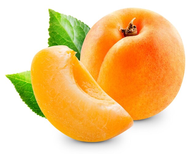 Apricot