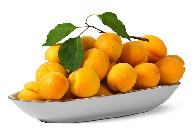 Apricots isolated on white background