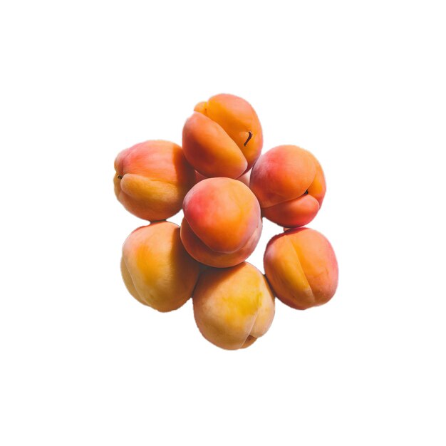 apricots isolated on white