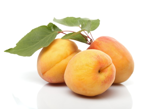 Apricots isolated on white