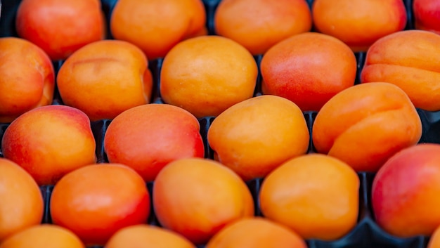 Apricots on local market