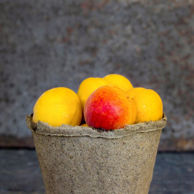 Apricots in a pot