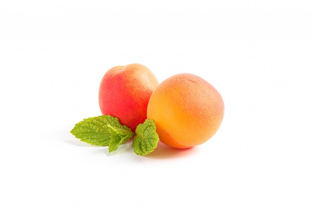 Apricots with mint isolated 