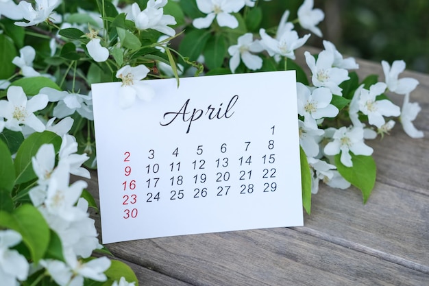 April calendar and spring flowers