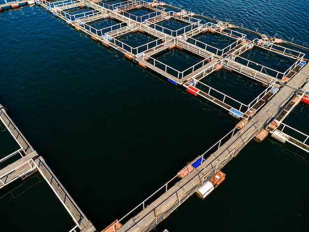 水産養殖場。魚、軟体動物、エビの養殖