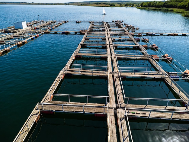 Photo aquaculture farm. cultivation of fish, molluscs, shrimps