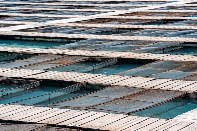 Photo aquaculture installations with fish cages on a fish farm