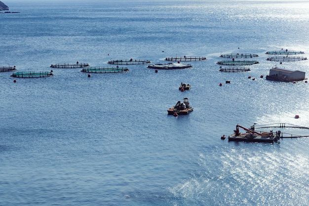 Aquaculture settlement fish farm with floating circle cages around bay of Attica in Greece