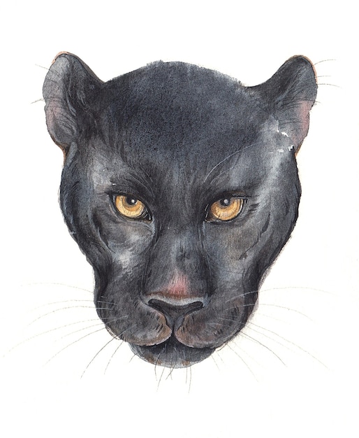 Aquarel Black Panther-gezicht