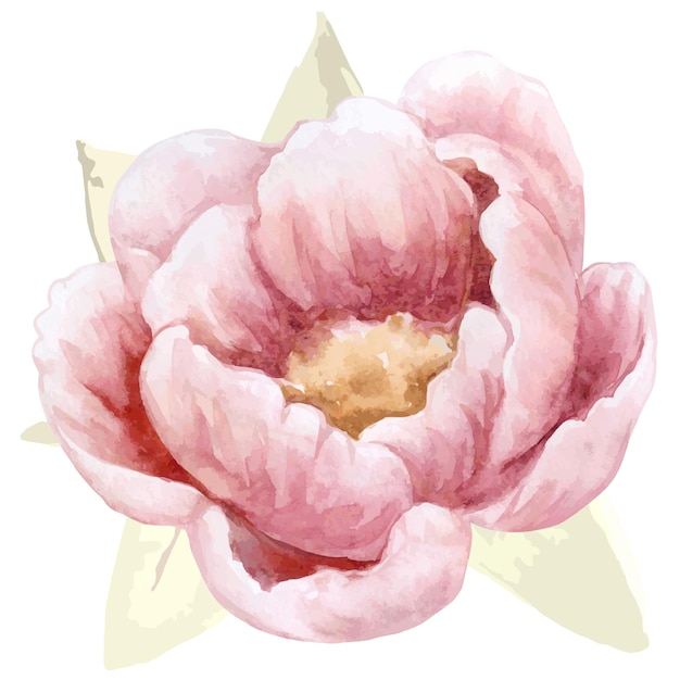 aquarel bloem illustratie